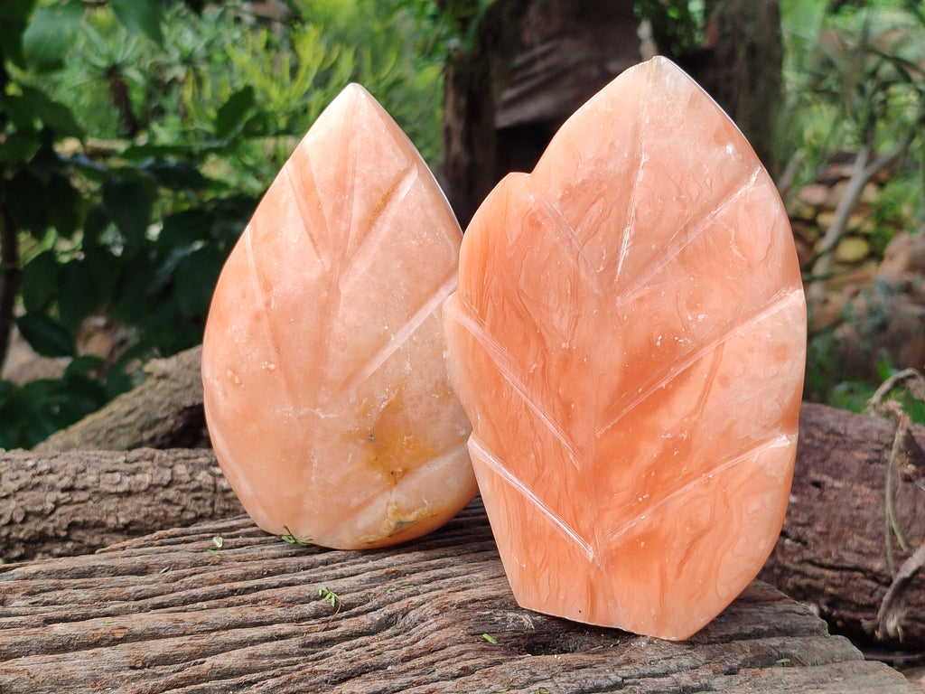 Polished Orange Twist Calcite Leaf Carving Standing Free Forms x 2 From Madagascar - Toprock Gemstones and Minerals 
