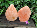 Polished Orange Twist Calcite Leaf Carving Standing Free Forms x 2 From Madagascar - Toprock Gemstones and Minerals 