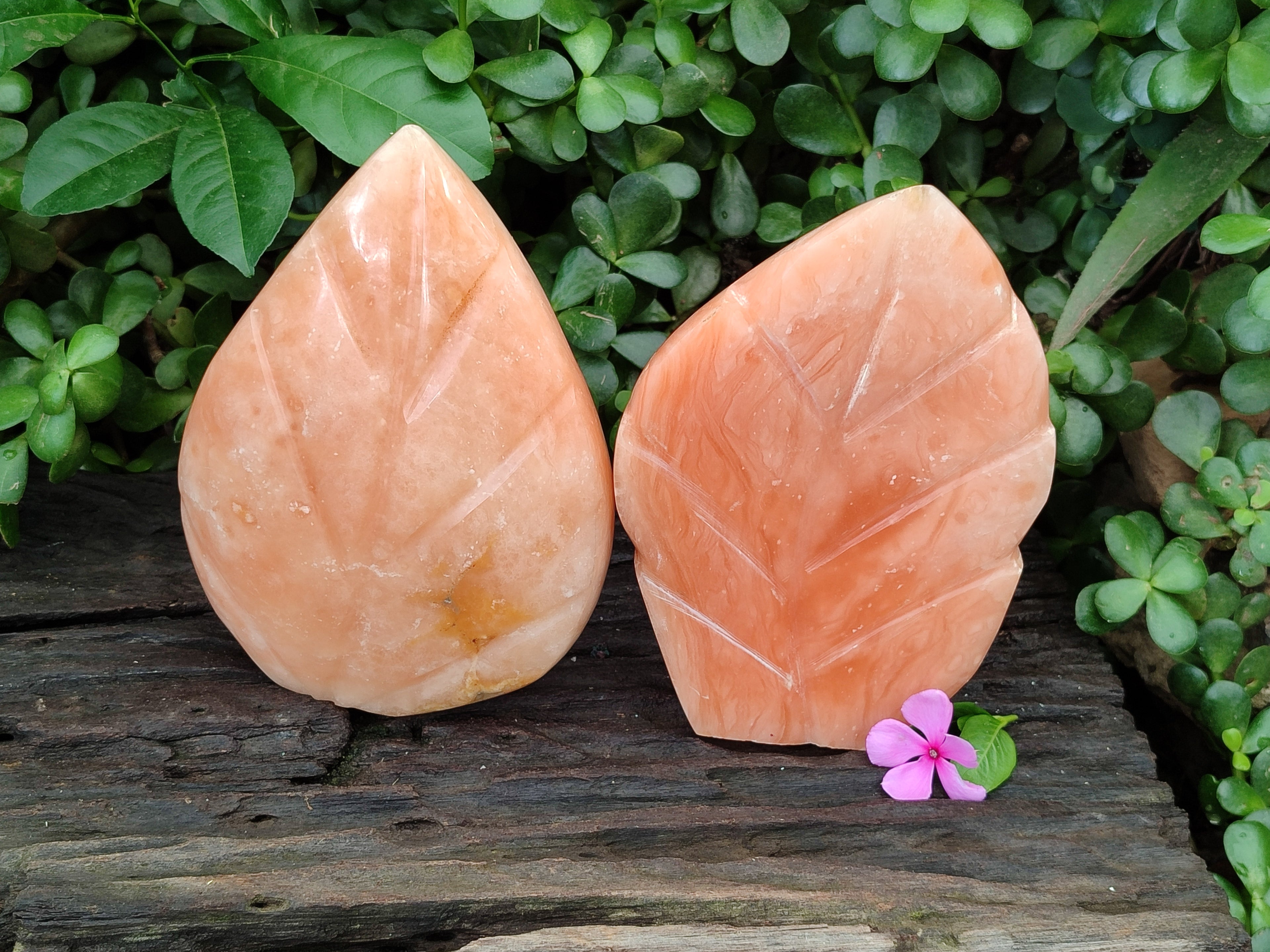 Polished Orange Twist Calcite Leaf Carving Standing Free Forms x 2 From Madagascar - Toprock Gemstones and Minerals 