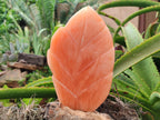 Polished Orange Twist Calcite Leaf Carving Standing Free Forms x 2 From Madagascar - Toprock Gemstones and Minerals 