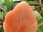Polished Orange Twist Calcite Leaf Carving Standing Free Forms x 2 From Madagascar - Toprock Gemstones and Minerals 
