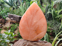 Polished Orange Twist Calcite Leaf Carving Standing Free Forms x 2 From Madagascar