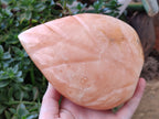 Polished Orange Twist Calcite Leaf Carving Standing Free Forms x 2 From Madagascar - Toprock Gemstones and Minerals 