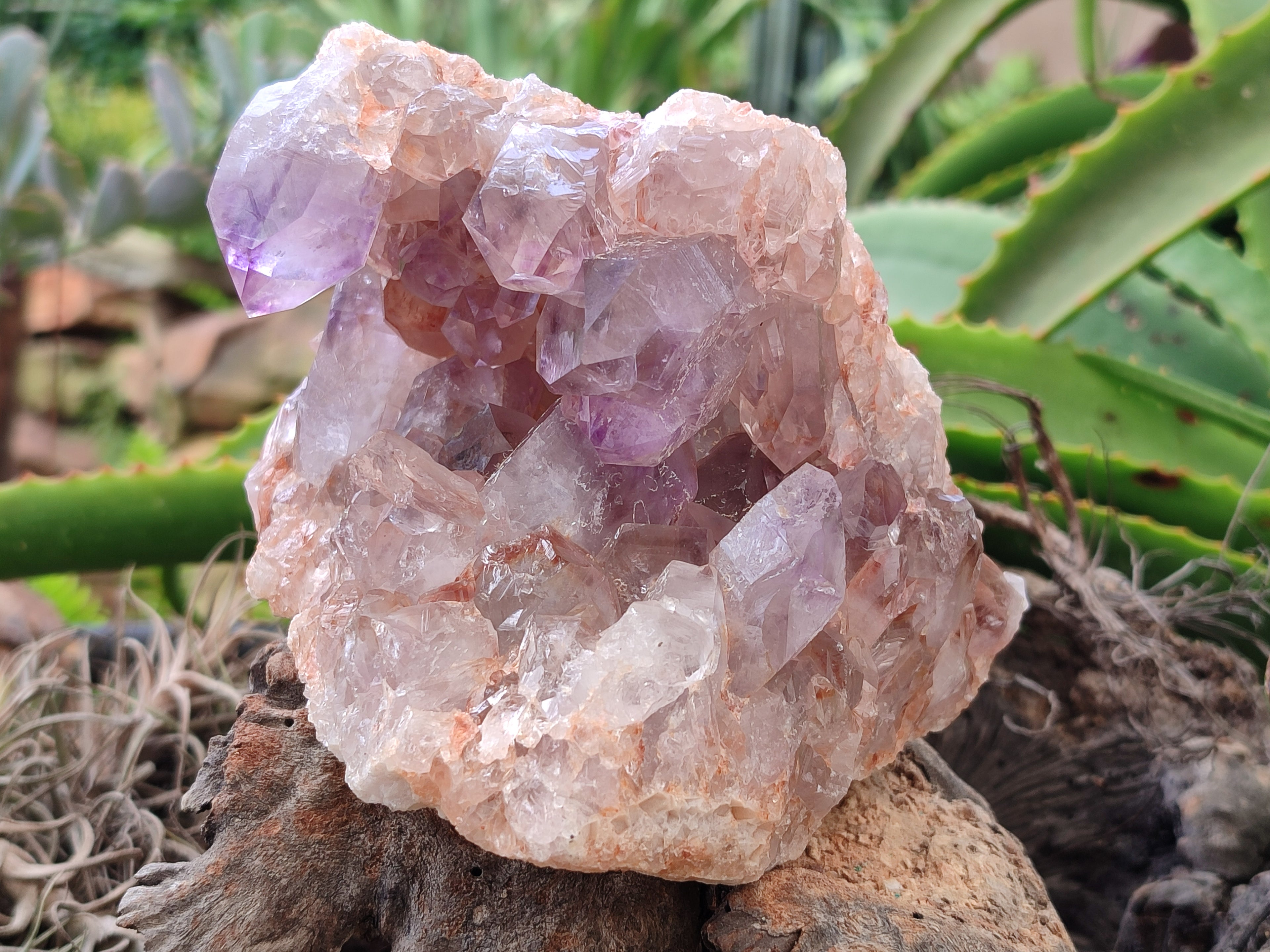 Natural Jacaranda Amethyst Quartz Clusters x 2 From Mumbwa, Zambia - Toprock Gemstones and Minerals 