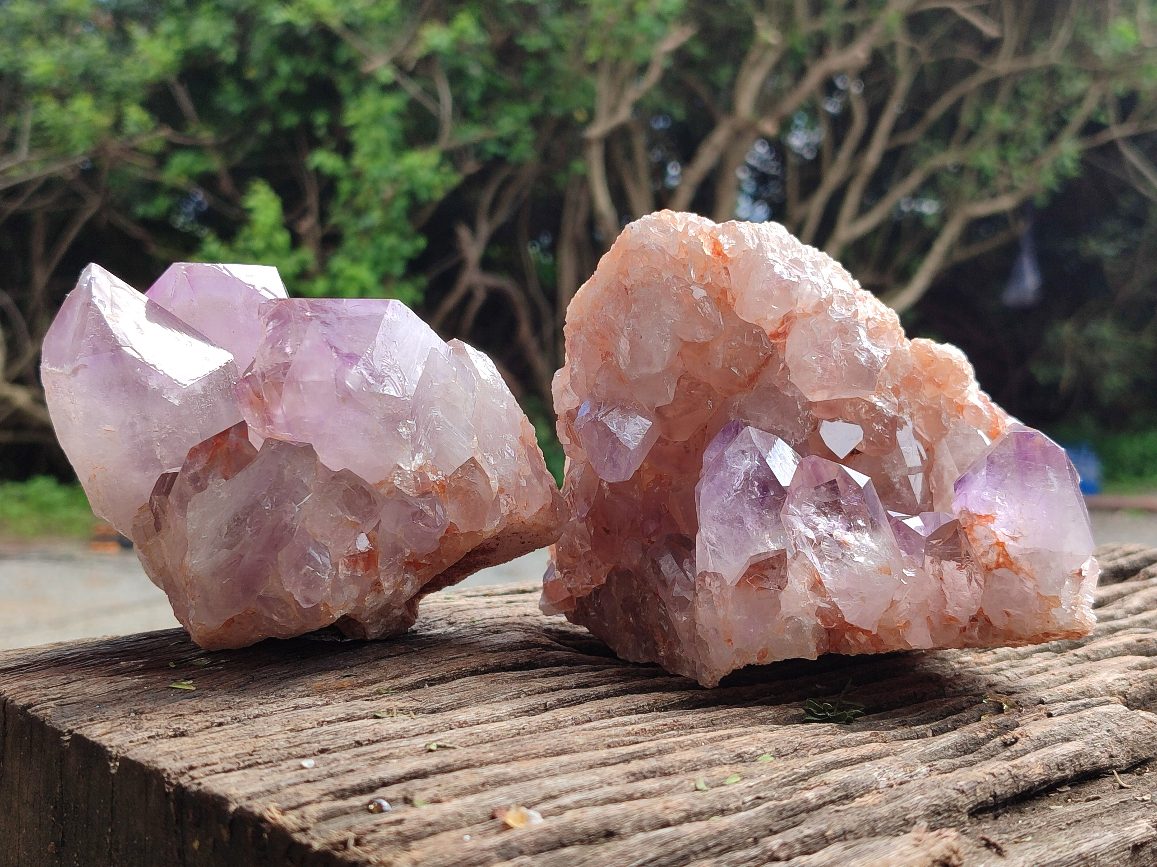 Natural Jacaranda Amethyst Quartz Clusters x 2 From Mumbwa, Zambia - Toprock Gemstones and Minerals 