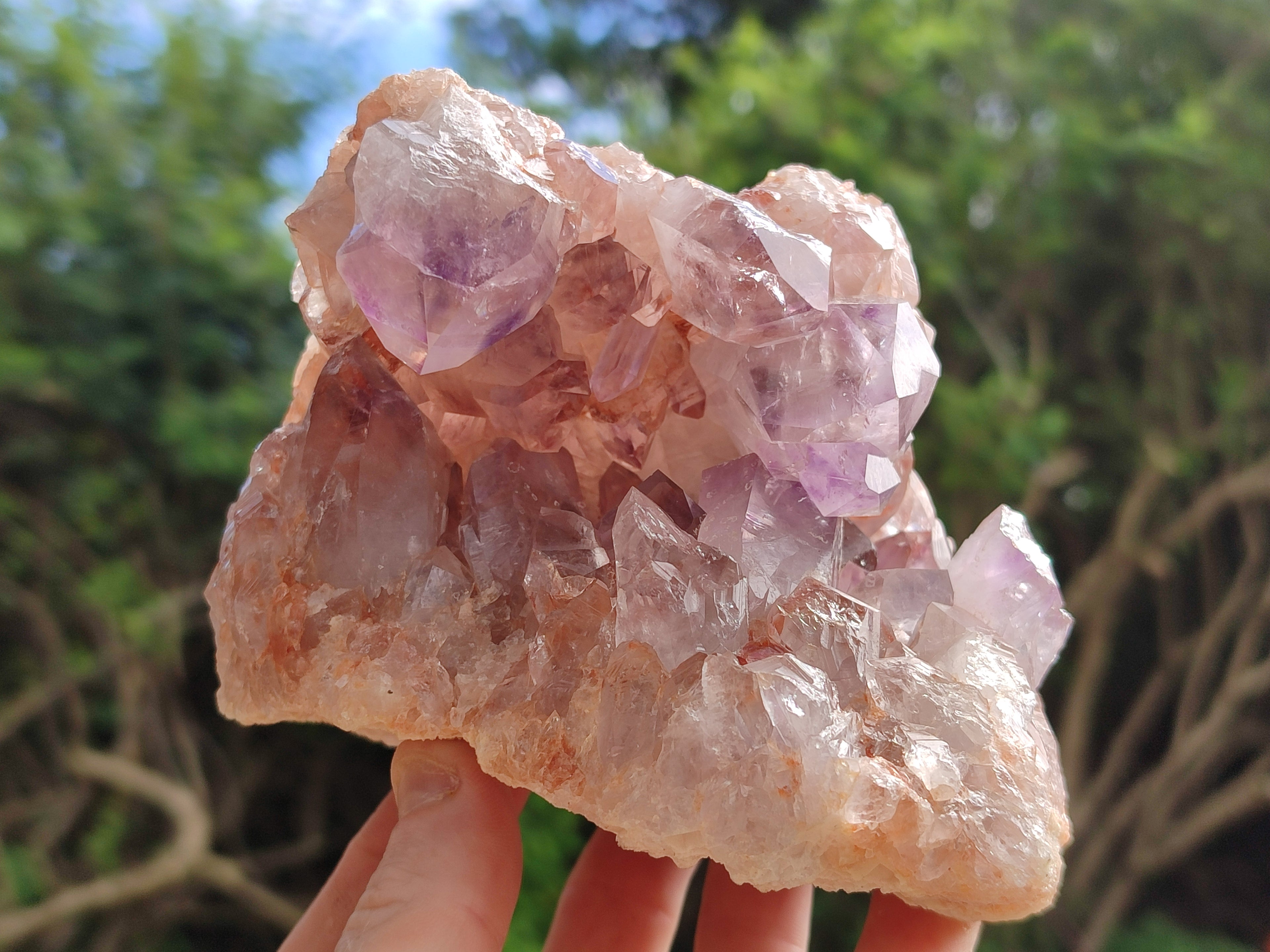 Natural Jacaranda Amethyst Quartz Clusters x 2 From Mumbwa, Zambia - Toprock Gemstones and Minerals 