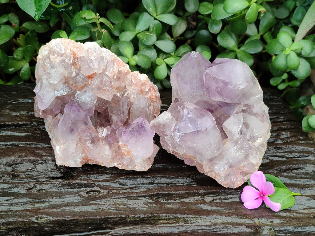Natural Jacaranda Amethyst Quartz Clusters x 2 From Mumbwa, Zambia - Toprock Gemstones and Minerals 
