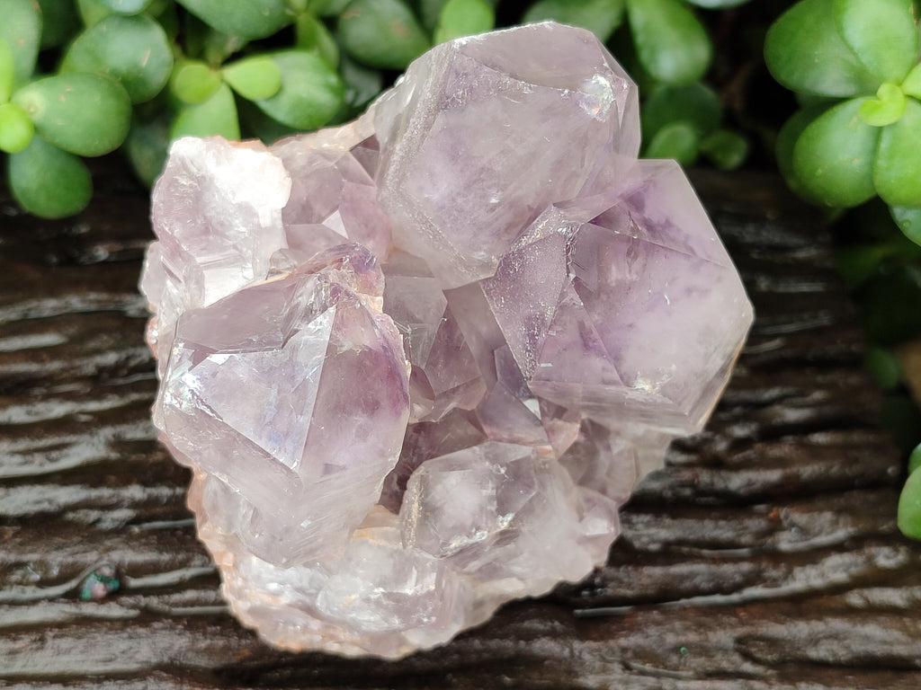 Natural Jacaranda Amethyst Quartz Clusters x 2 From Mumbwa, Zambia - Toprock Gemstones and Minerals 