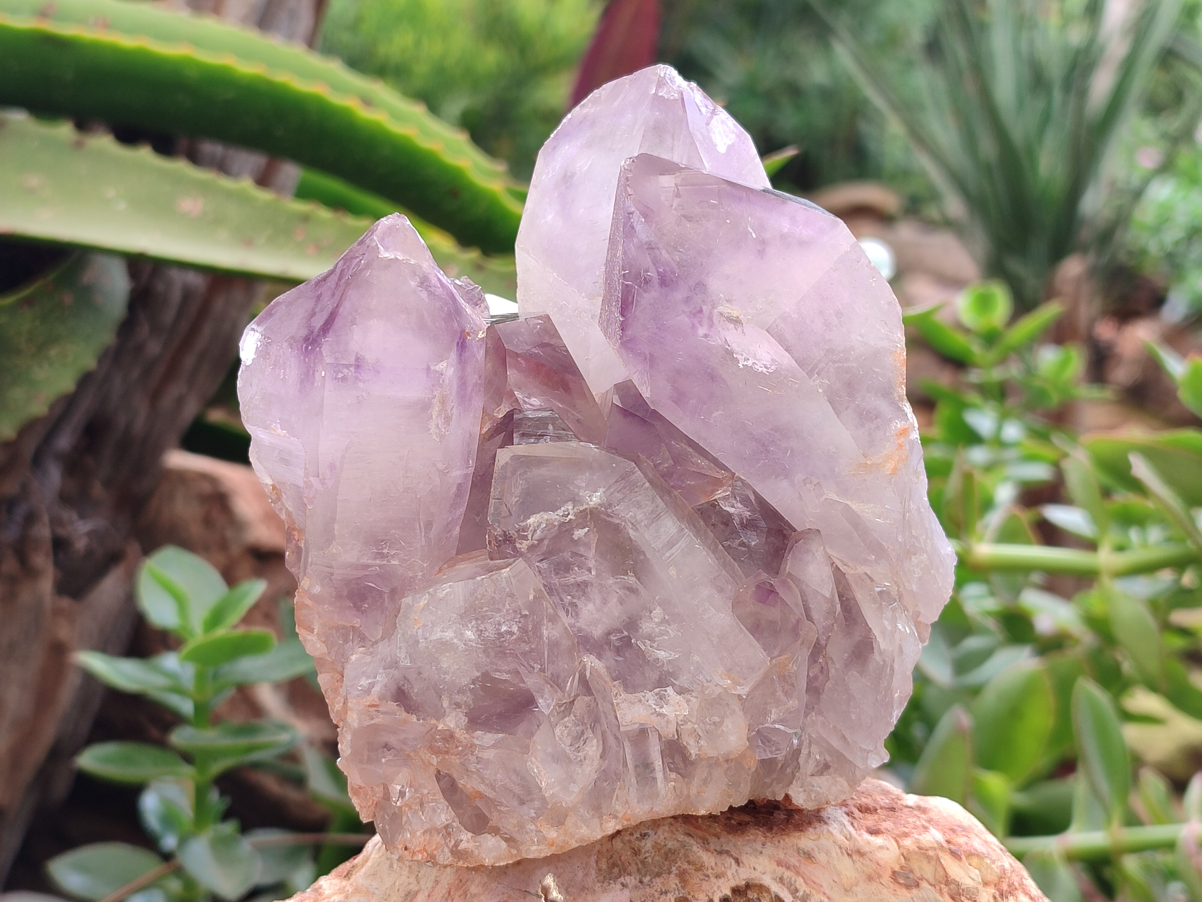 Natural Jacaranda Amethyst Quartz Clusters x 2 From Mumbwa, Zambia - Toprock Gemstones and Minerals 