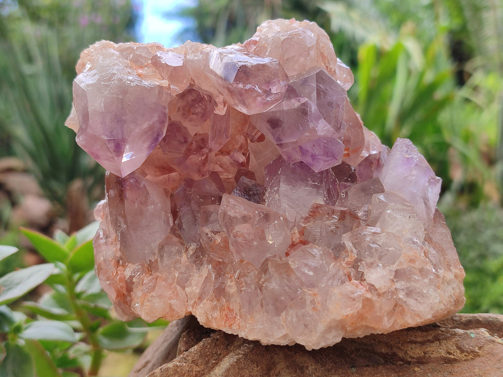 Natural Jacaranda Amethyst Quartz Clusters x 2 From Mumbwa, Zambia - Toprock Gemstones and Minerals 