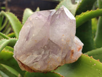 Natural Jacaranda Amethyst Quartz Clusters x 2 From Mumbwa, Zambia