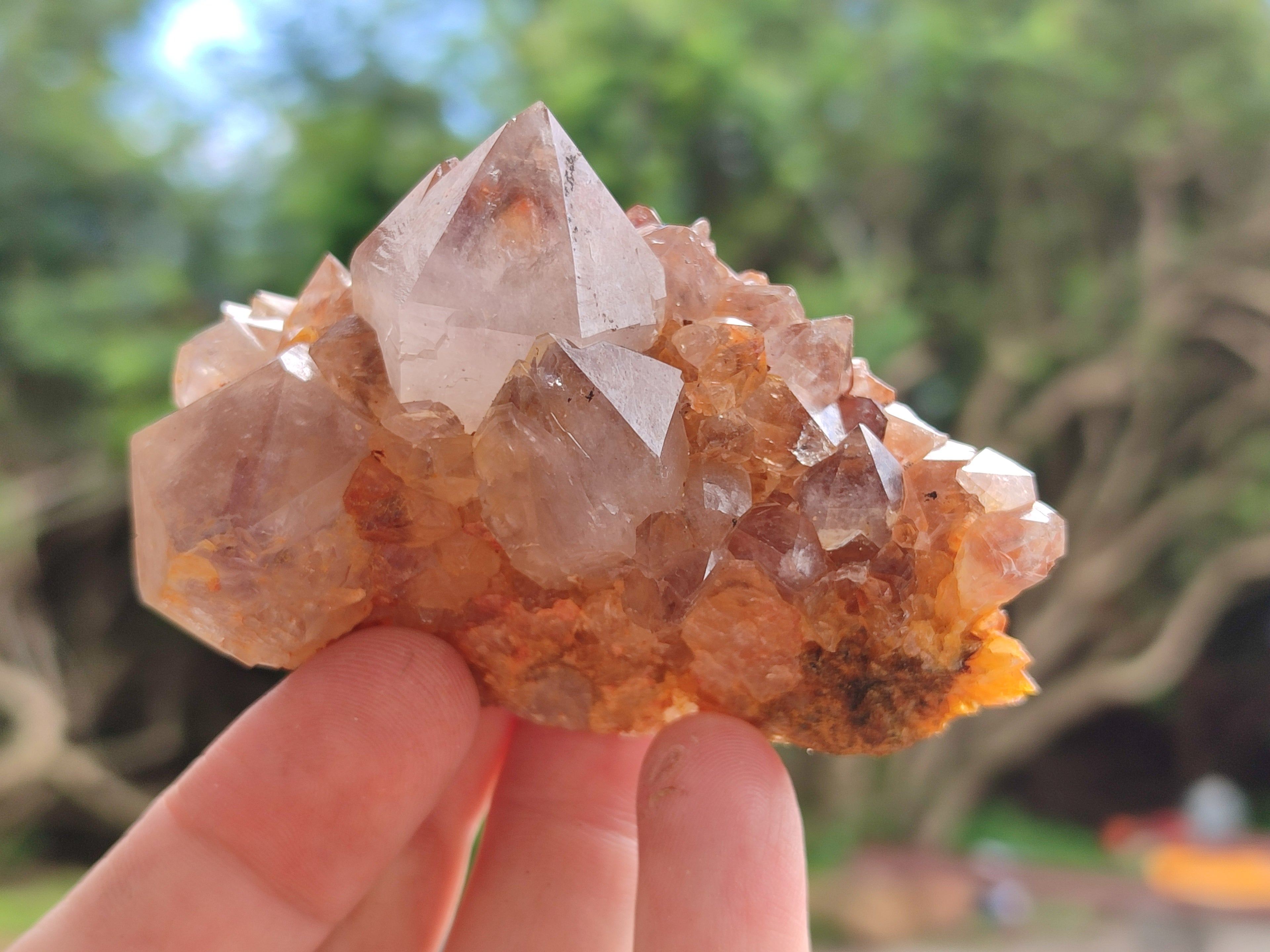 Natural Smokey Amethyst Spirit Quartz Clusters x 12 From Boekenhouthoek, South Africa - Toprock Gemstones and Minerals 