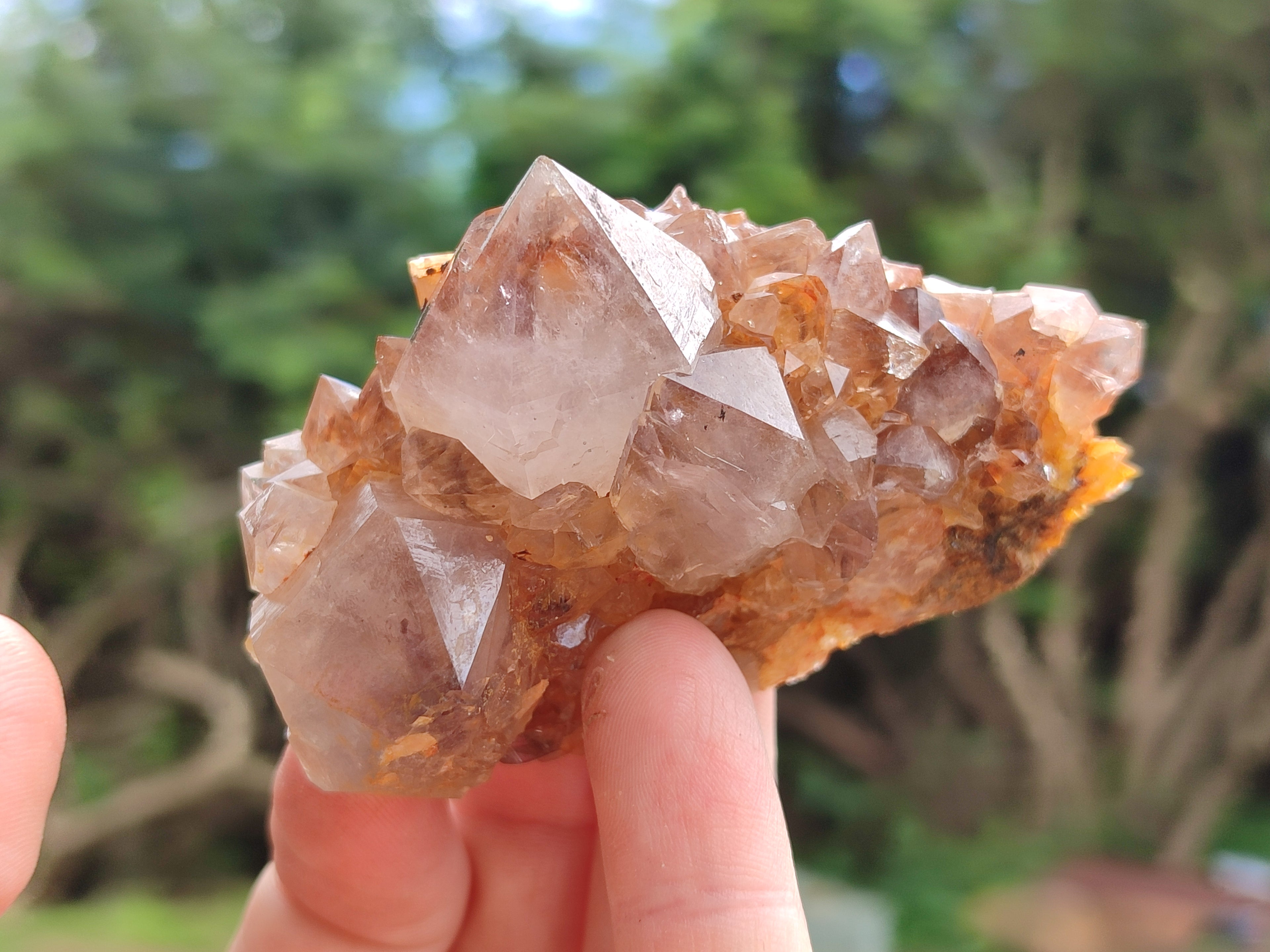 Natural Smokey Amethyst Spirit Quartz Clusters x 12 From Boekenhouthoek, South Africa - Toprock Gemstones and Minerals 