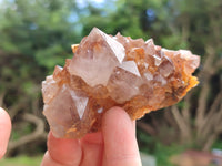 Natural Smokey Amethyst Spirit Quartz Clusters x 12 From Boekenhouthoek, South Africa - Toprock Gemstones and Minerals 