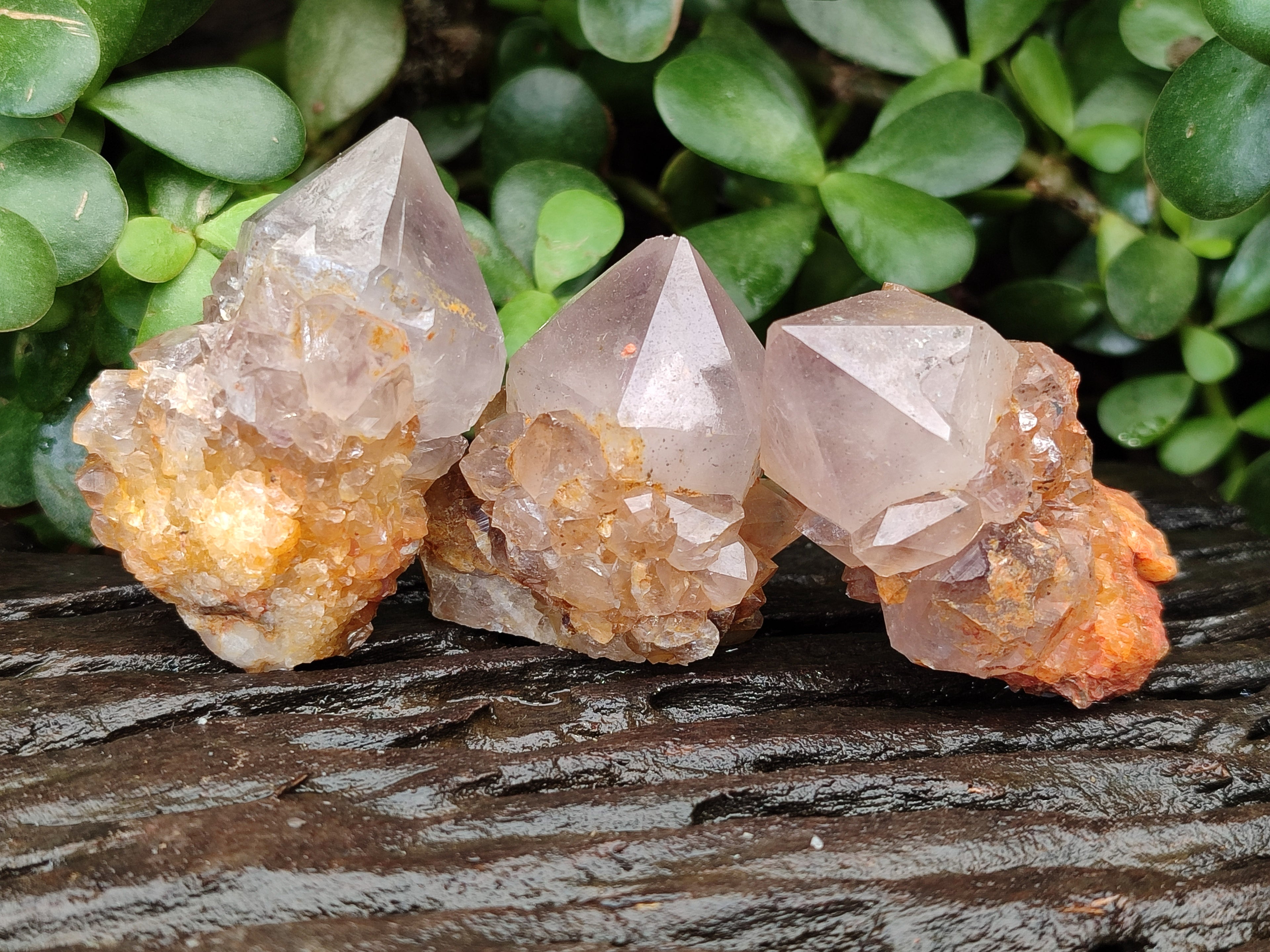Natural Smokey Amethyst Spirit Quartz Clusters x 12 From Boekenhouthoek, South Africa - Toprock Gemstones and Minerals 