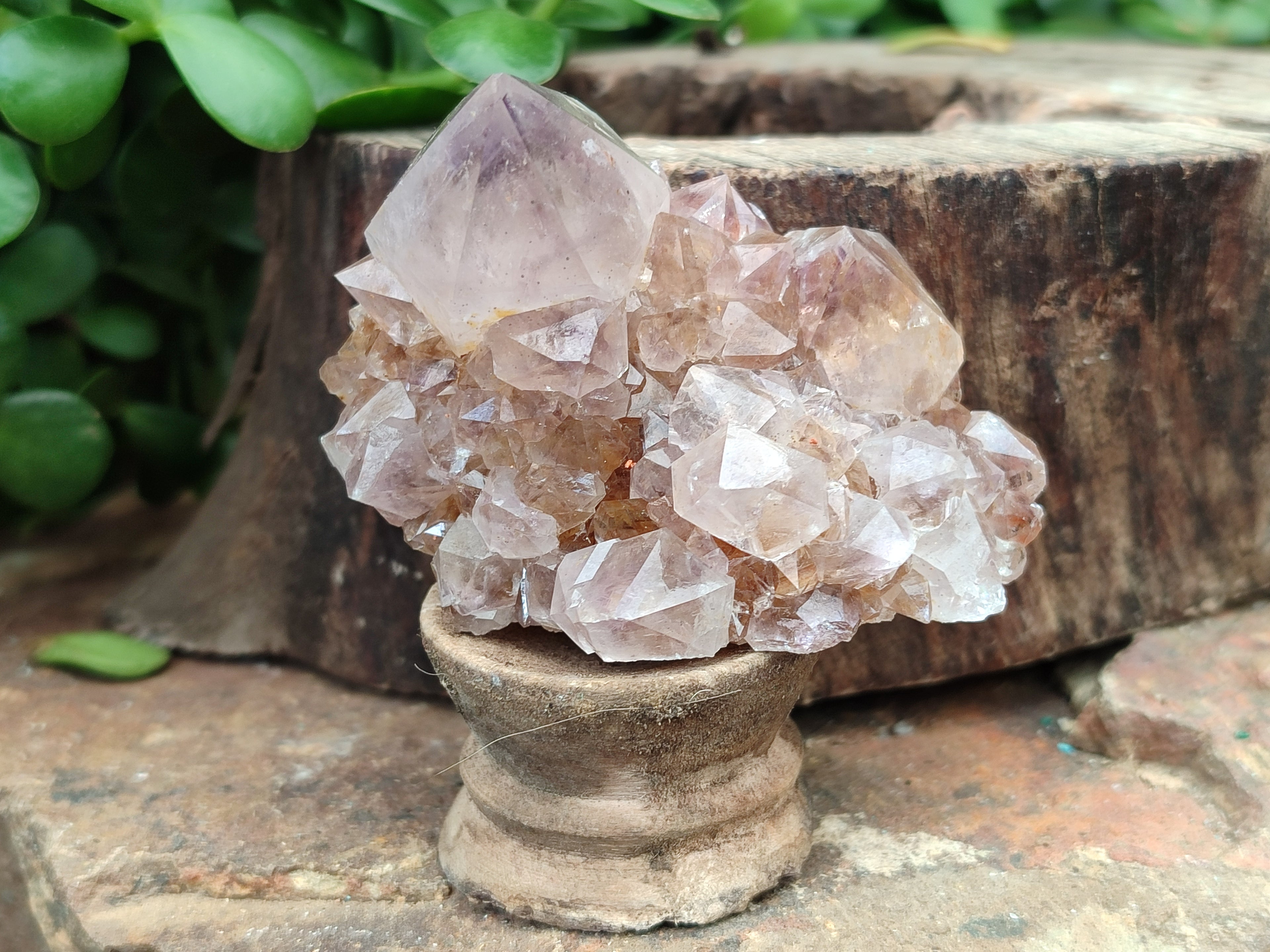 Natural Smokey Amethyst Spirit Quartz Clusters x 12 From Boekenhouthoek, South Africa - Toprock Gemstones and Minerals 