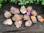 Natural Smokey Amethyst Spirit Quartz Clusters x 12 From Boekenhouthoek, South Africa - Toprock Gemstones and Minerals 
