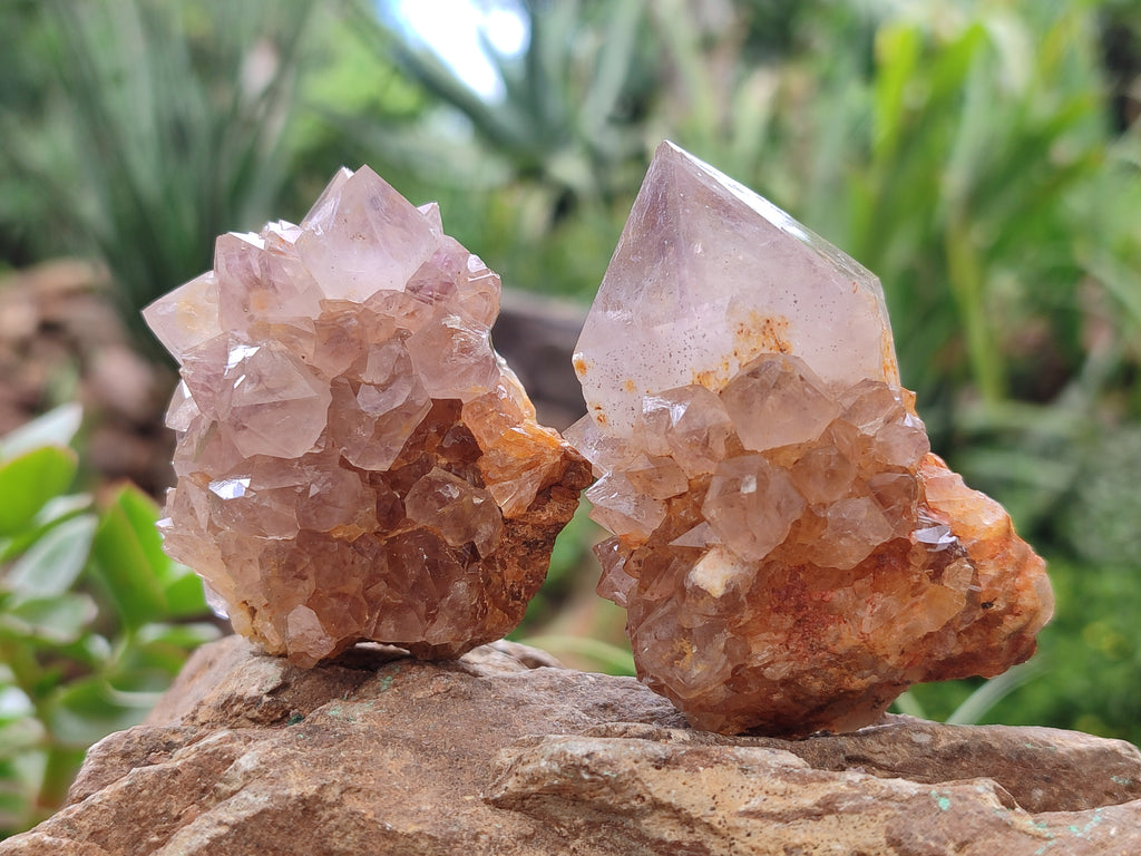 Natural Smokey Amethyst Spirit Quartz Clusters x 12 From Boekenhouthoek, South Africa - Toprock Gemstones and Minerals 