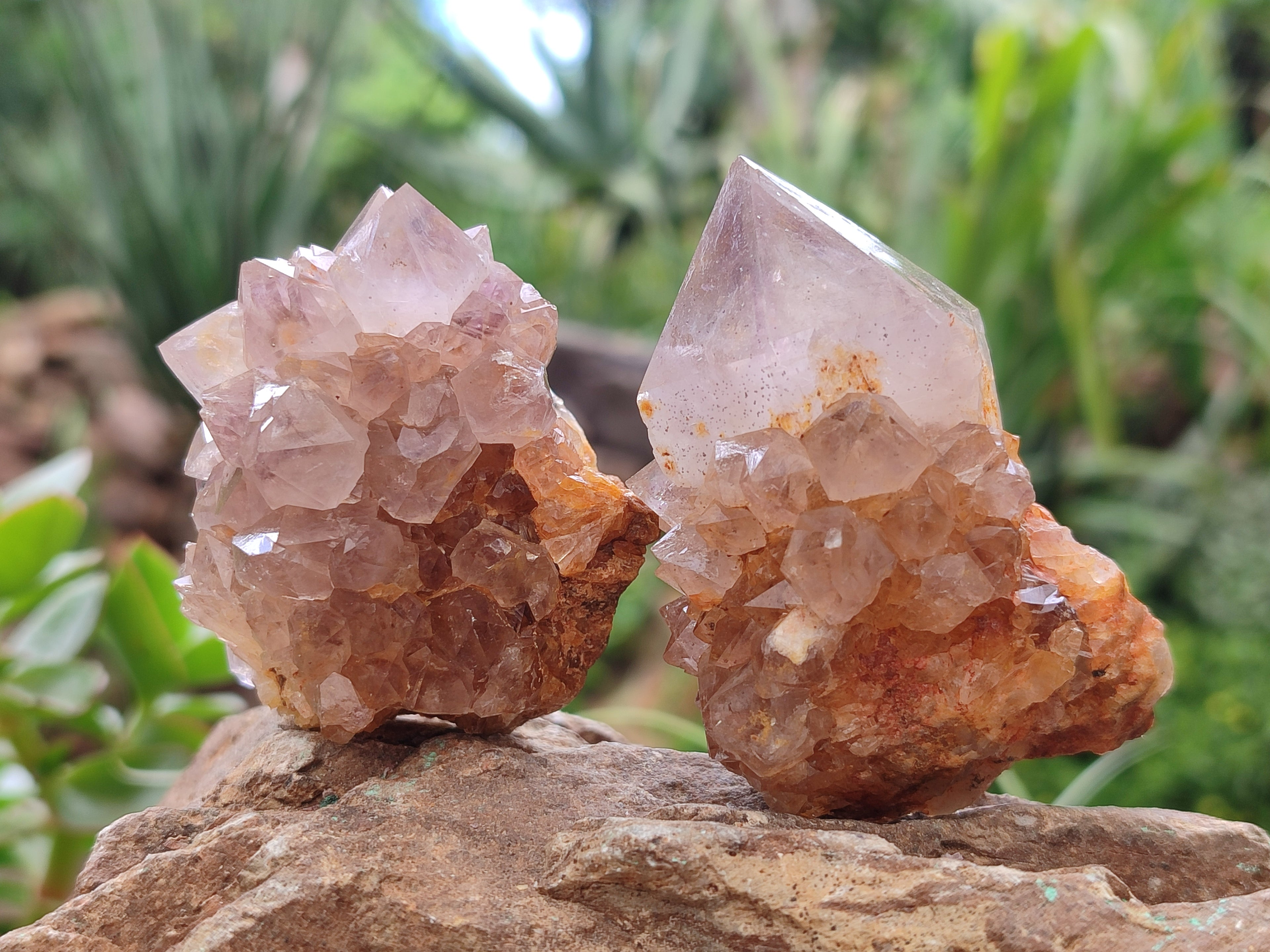 Natural Smokey Amethyst Spirit Quartz Clusters x 12 From Boekenhouthoek, South Africa - Toprock Gemstones and Minerals 