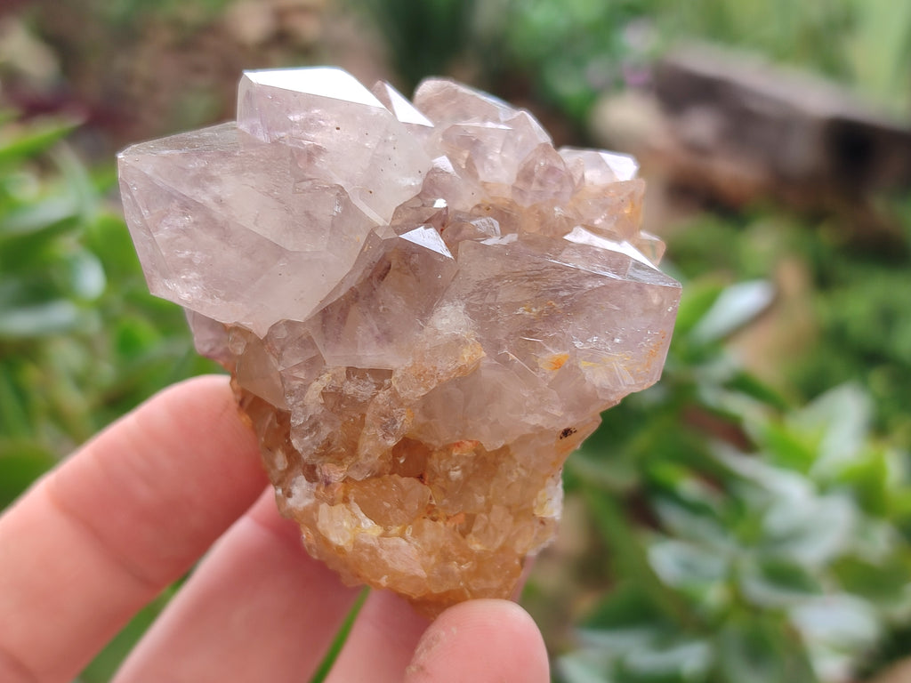 Natural Smokey Amethyst Spirit Quartz Clusters x 12 From Boekenhouthoek, South Africa - Toprock Gemstones and Minerals 