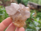 Natural Smokey Amethyst Spirit Quartz Clusters x 12 From Boekenhouthoek, South Africa - Toprock Gemstones and Minerals 