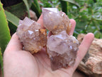 Natural Smokey Amethyst Spirit Quartz Clusters x 12 From Boekenhouthoek, South Africa - Toprock Gemstones and Minerals 