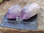 Natural Jacaranda Amethyst Quartz Crystals x 24 From Mumbwa, Zambia - Toprock Gemstones and Minerals 
