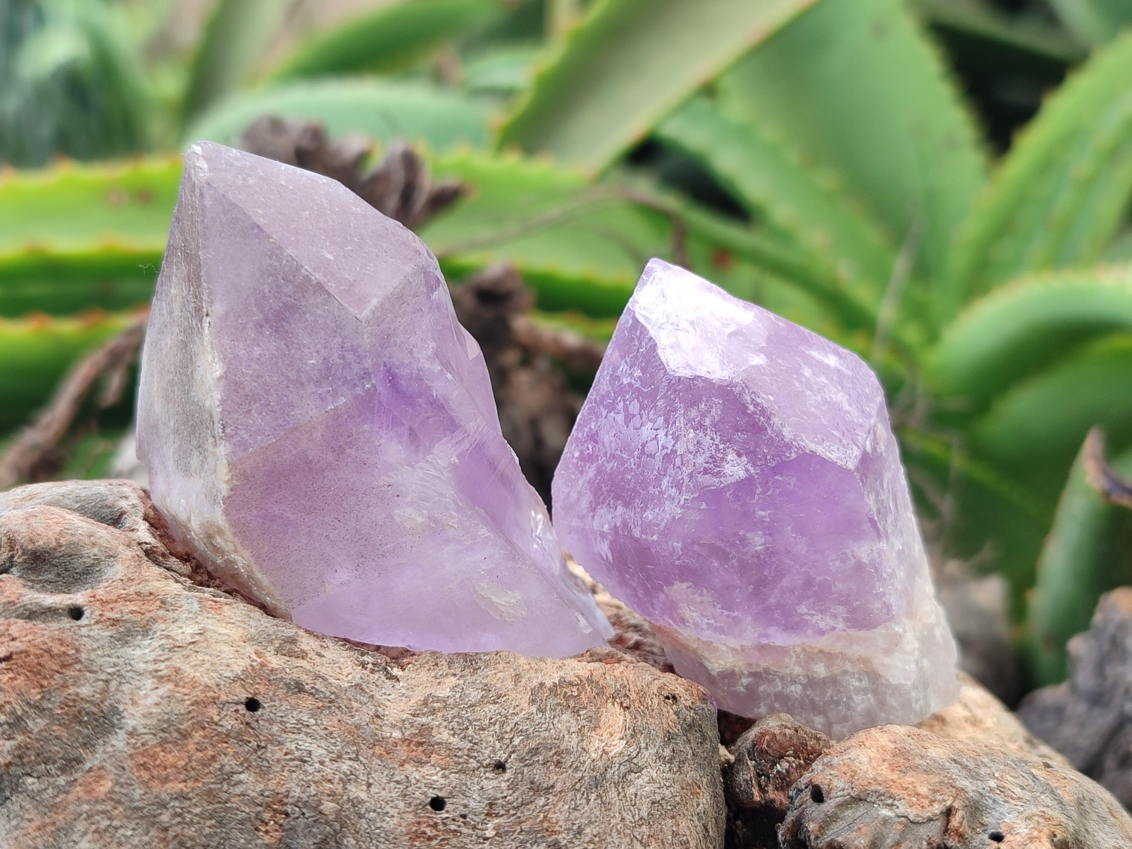 Natural Jacaranda Amethyst Quartz Crystals x 24 From Mumbwa, Zambia - Toprock Gemstones and Minerals 