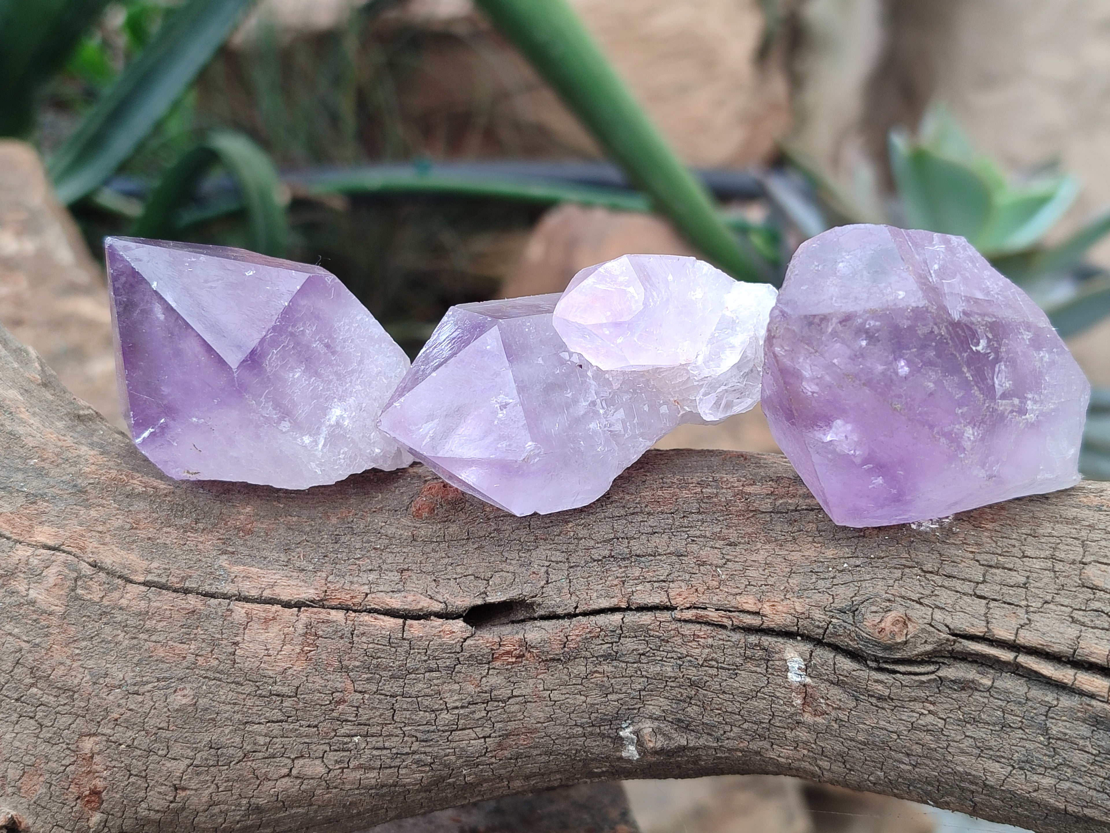 Natural Jacaranda Amethyst Quartz Crystals x 24 From Mumbwa, Zambia - Toprock Gemstones and Minerals 