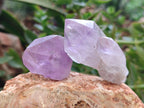Natural Jacaranda Amethyst Quartz Crystals x 24 From Mumbwa, Zambia - Toprock Gemstones and Minerals 