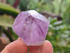 Natural Jacaranda Amethyst Quartz Crystals x 24 From Mumbwa, Zambia - Toprock Gemstones and Minerals 