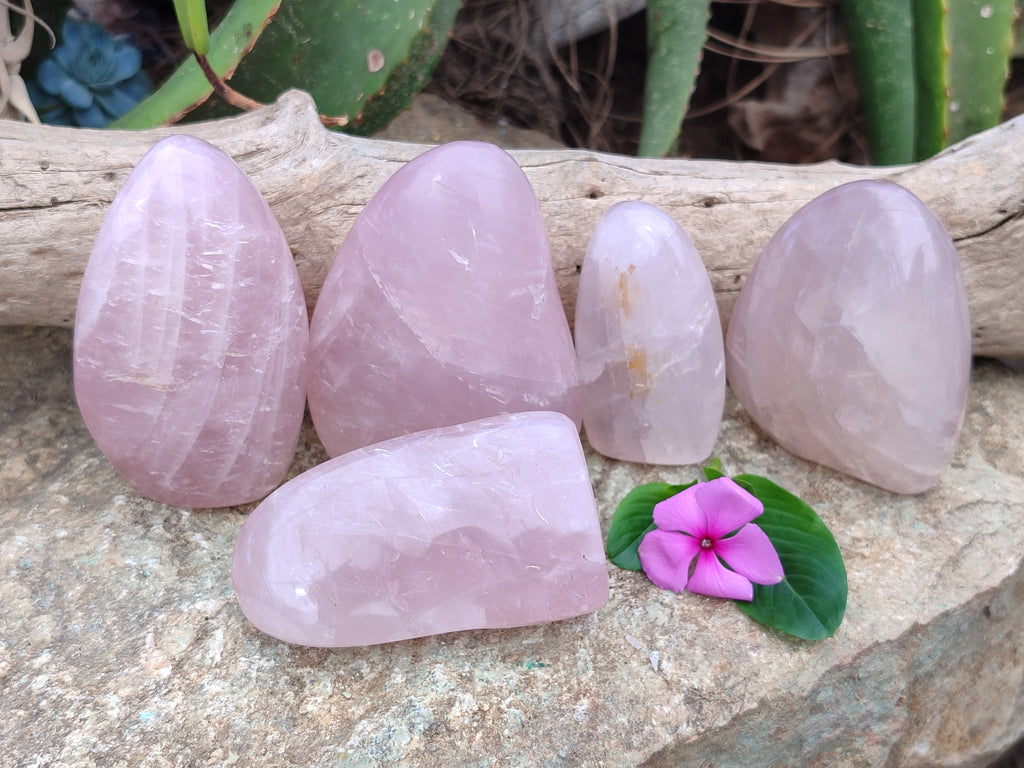 Polished Rose Quartz Standing Free Forms x 5 From Ambatondrazaka, Madagascar - Toprock Gemstones and Minerals 
