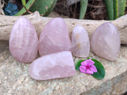 Polished Rose Quartz Standing Free Forms x 5 From Ambatondrazaka, Madagascar - Toprock Gemstones and Minerals 