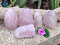 Polished Rose Quartz Standing Free Forms x 5 From Ambatondrazaka, Madagascar - Toprock Gemstones and Minerals 