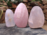 Polished Rose Quartz Standing Free Forms x 5 From Ambatondrazaka, Madagascar - Toprock Gemstones and Minerals 