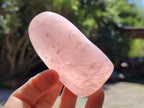 Polished Rose Quartz Standing Free Forms x 5 From Ambatondrazaka, Madagascar - Toprock Gemstones and Minerals 