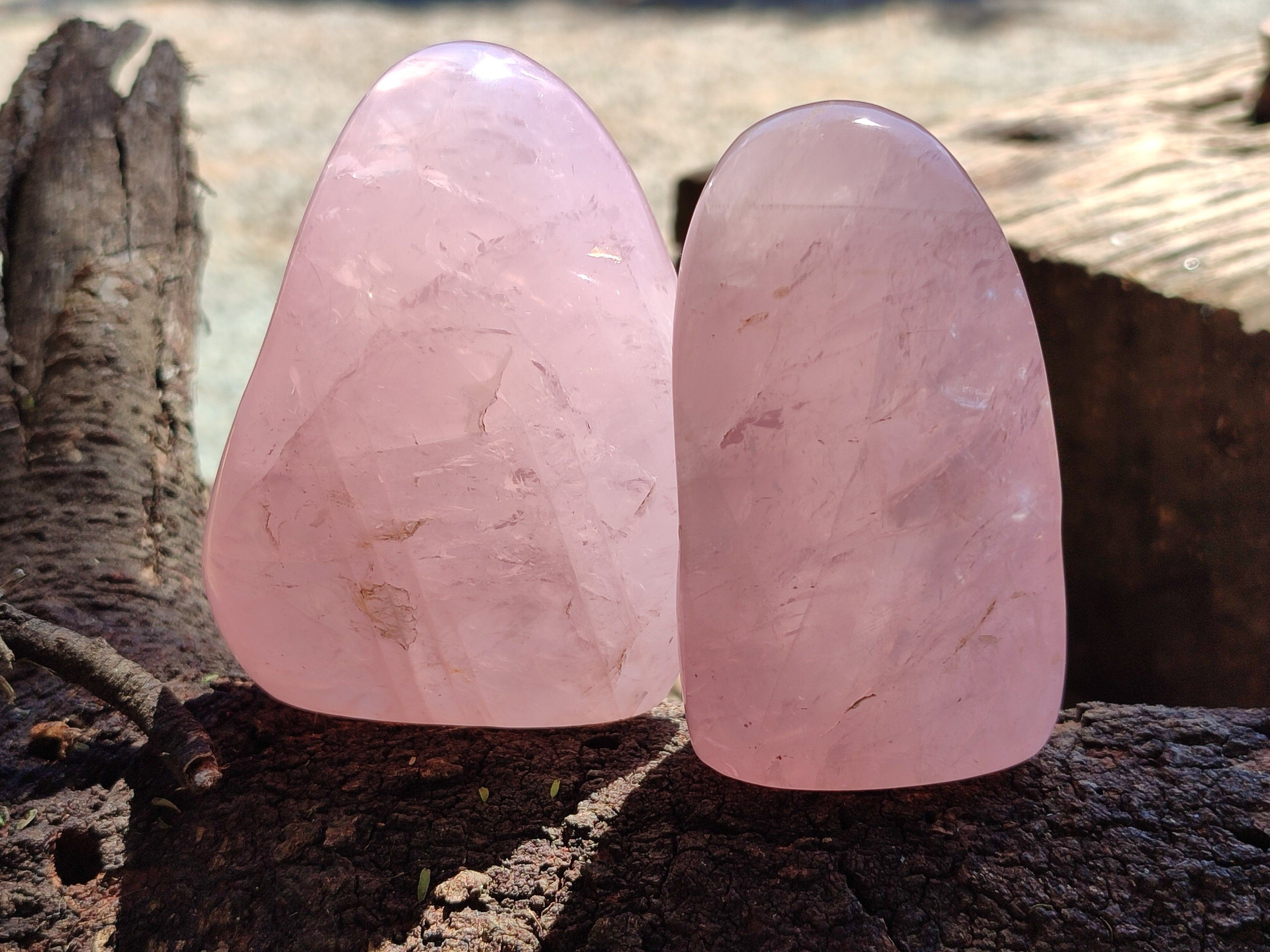 Polished Rose Quartz Standing Free Forms x 5 From Ambatondrazaka, Madagascar - Toprock Gemstones and Minerals 
