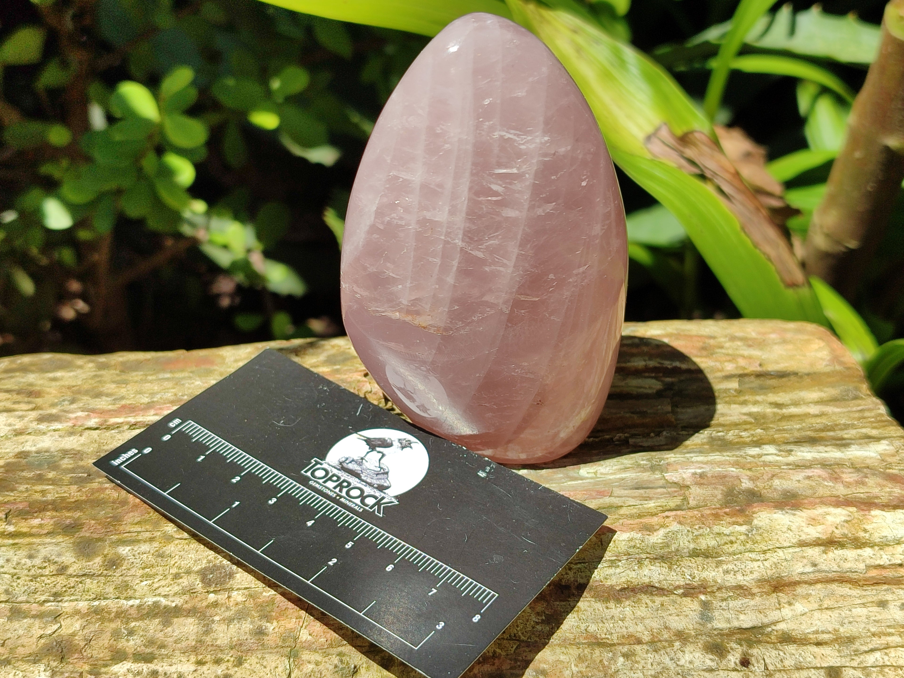 Polished Rose Quartz Standing Free Forms x 5 From Ambatondrazaka, Madagascar - Toprock Gemstones and Minerals 