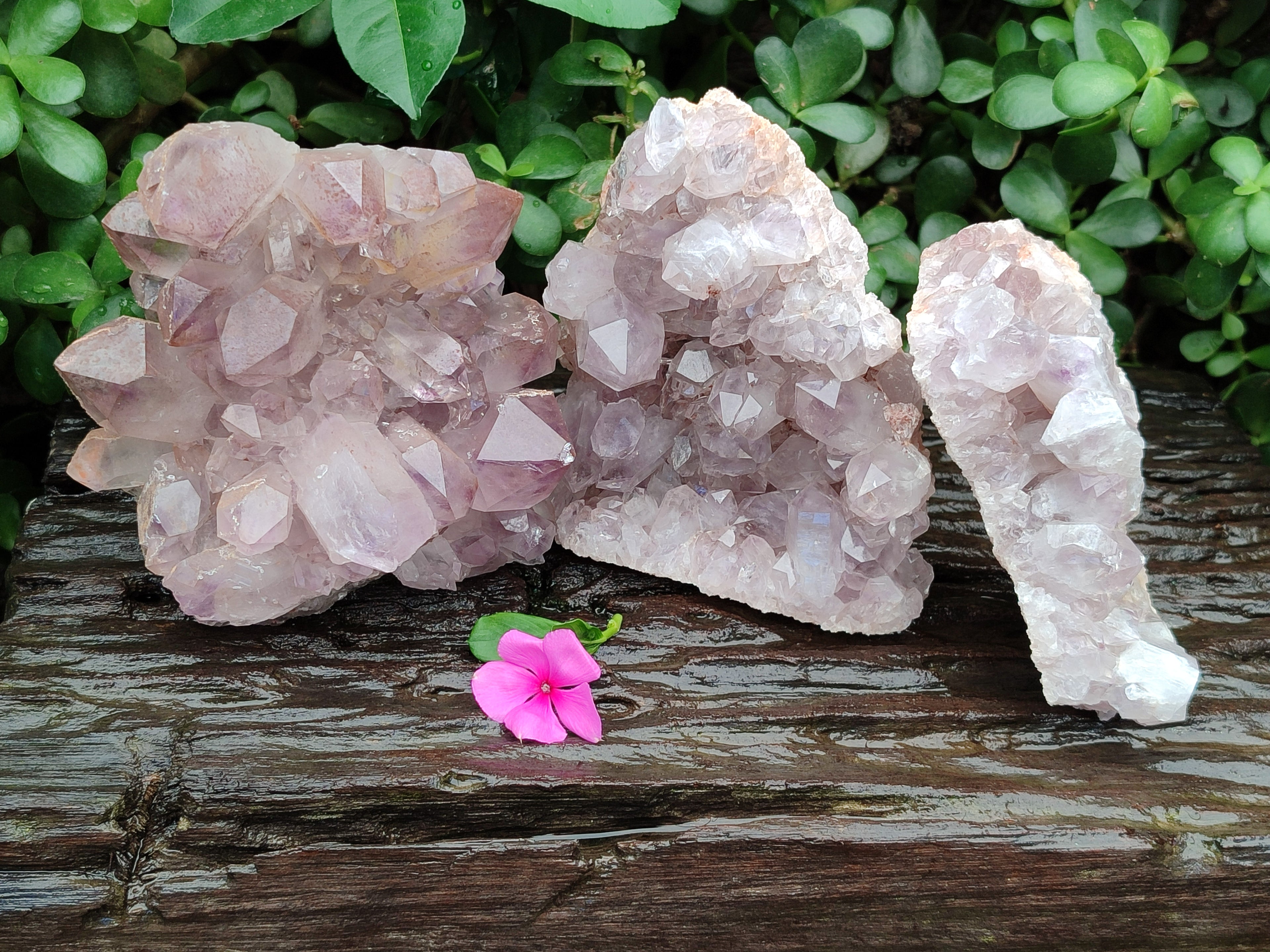 Natural Jacaranda Amethyst Quartz Clusters x 3 From Mumbwa, Zambia - Toprock Gemstones and Minerals 