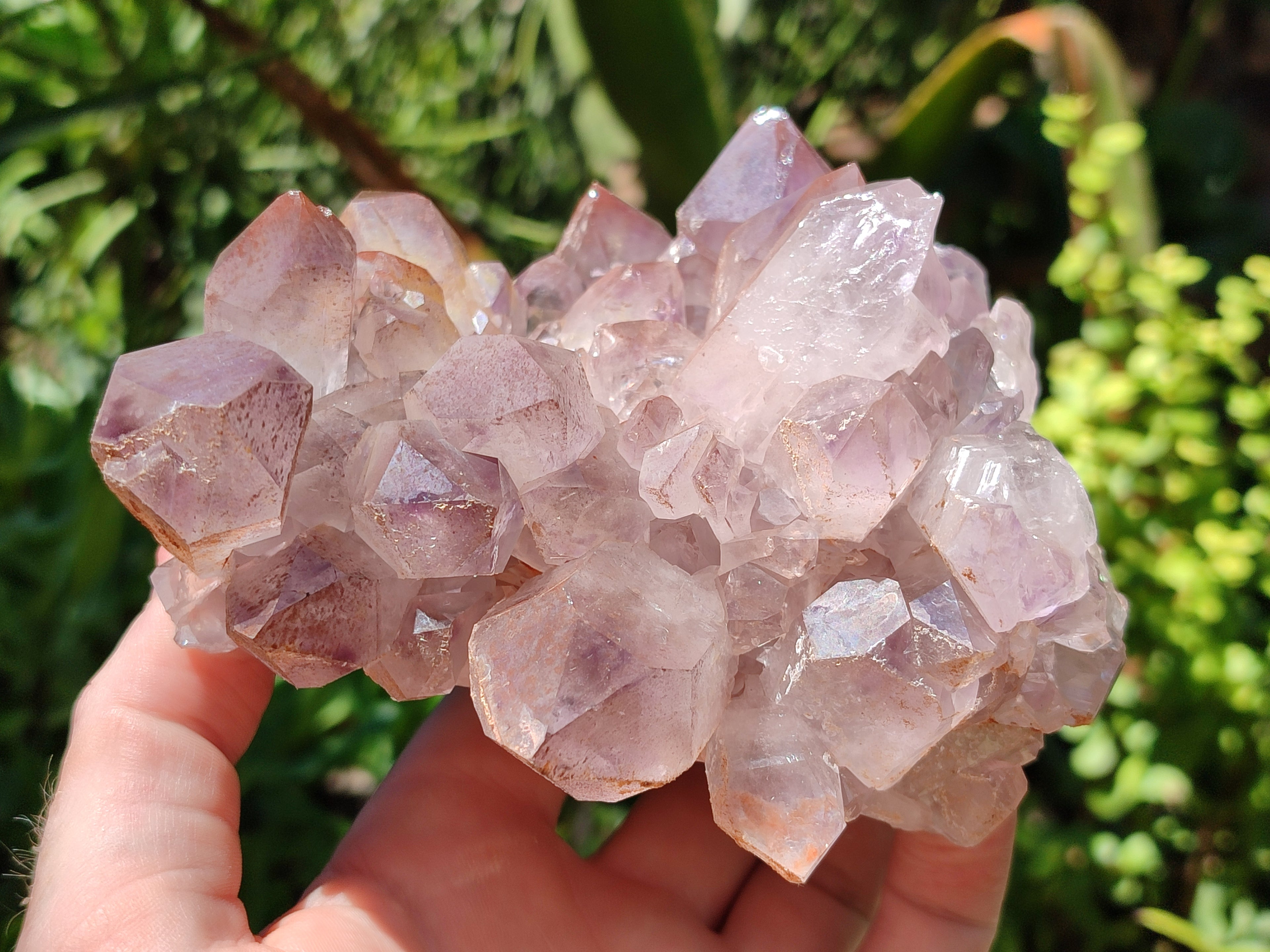 Natural Jacaranda Amethyst Quartz Clusters x 3 From Mumbwa, Zambia - Toprock Gemstones and Minerals 