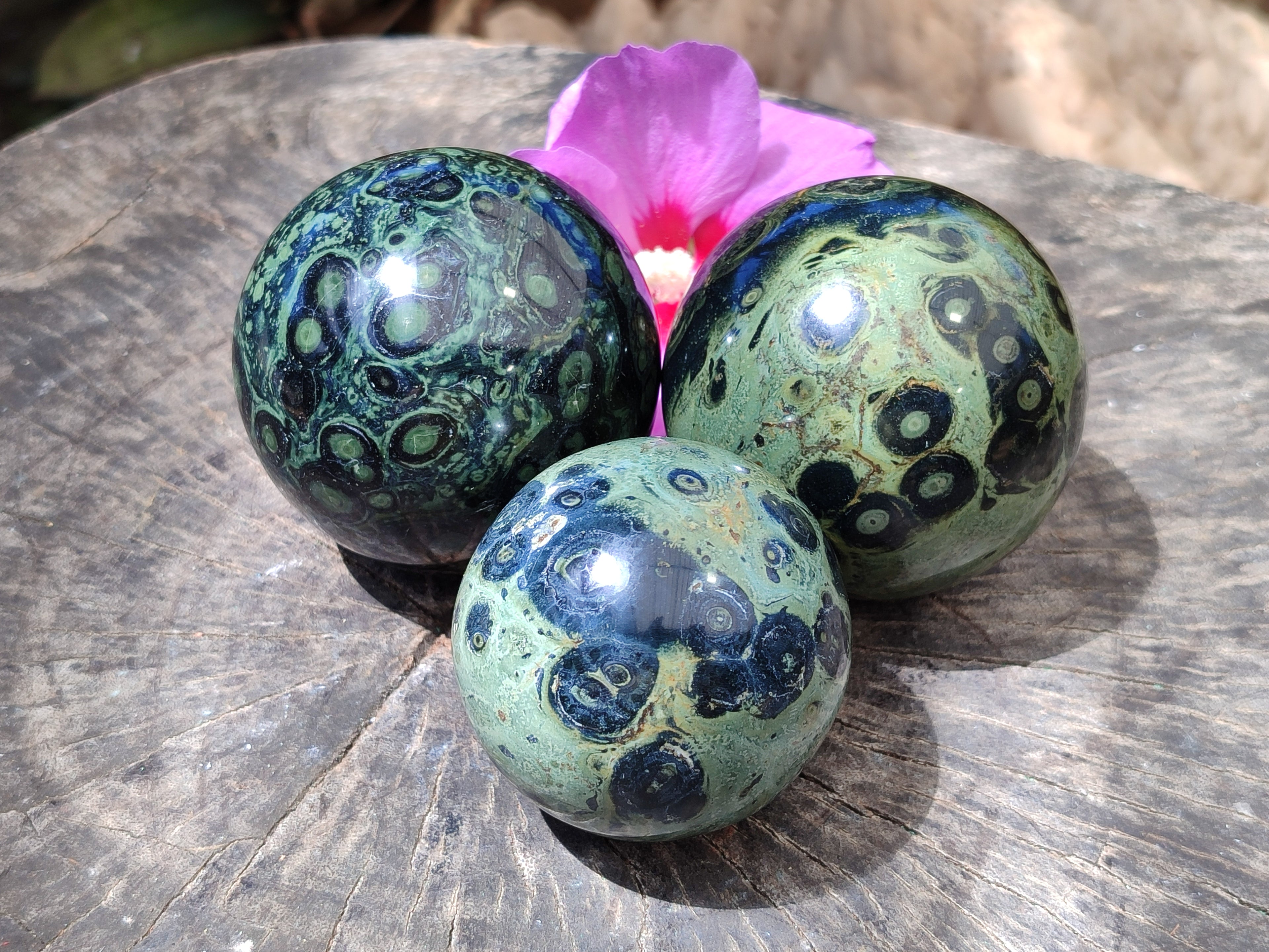Polished Stromatolite Jasper Spheres x 3 From Katsepy, Madagascar - Toprock Gemstones and Minerals 