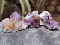 Natural Dark Purple Amethyst Spirit Quartz Clusters x 70 From Boekenhouthoek, South Africa - Toprock Gemstones and Minerals 