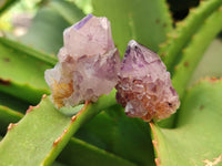 Natural Dark Purple Amethyst Spirit Quartz Clusters x 70 From Boekenhouthoek, South Africa - Toprock Gemstones and Minerals 