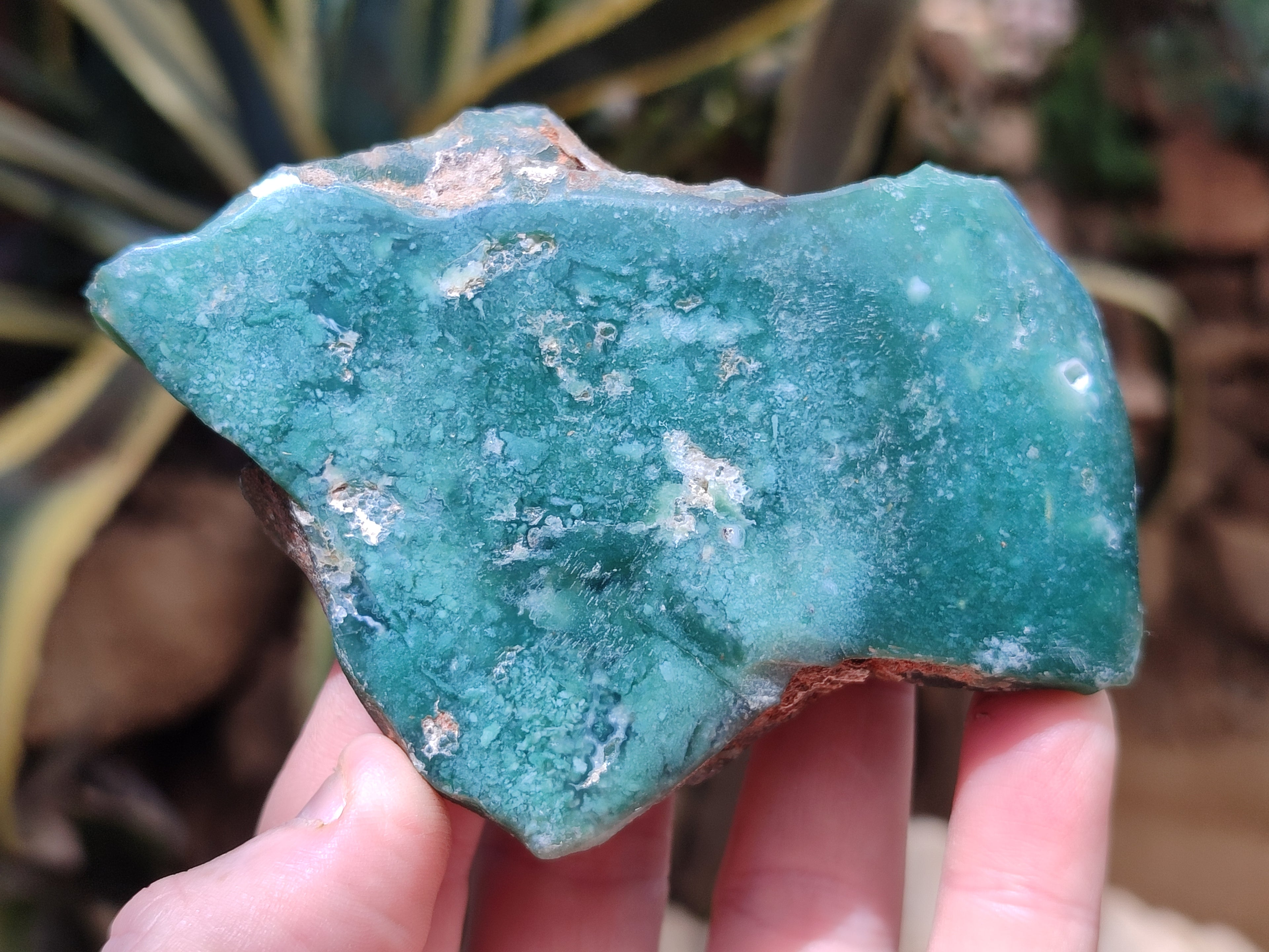 Polished On One Side Emerald Mtorolite Plates x 6 From Mutorashanga, Zimbabwe - Toprock Gemstones and Minerals 