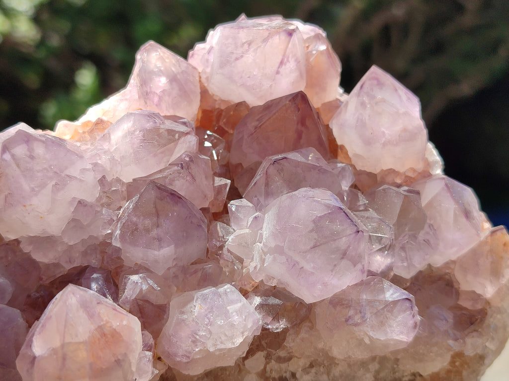 Natural Amethyst Spirit Quartz Clusters x 2 From Boekenhouthoek, South Africa - Toprock Gemstones and Minerals 