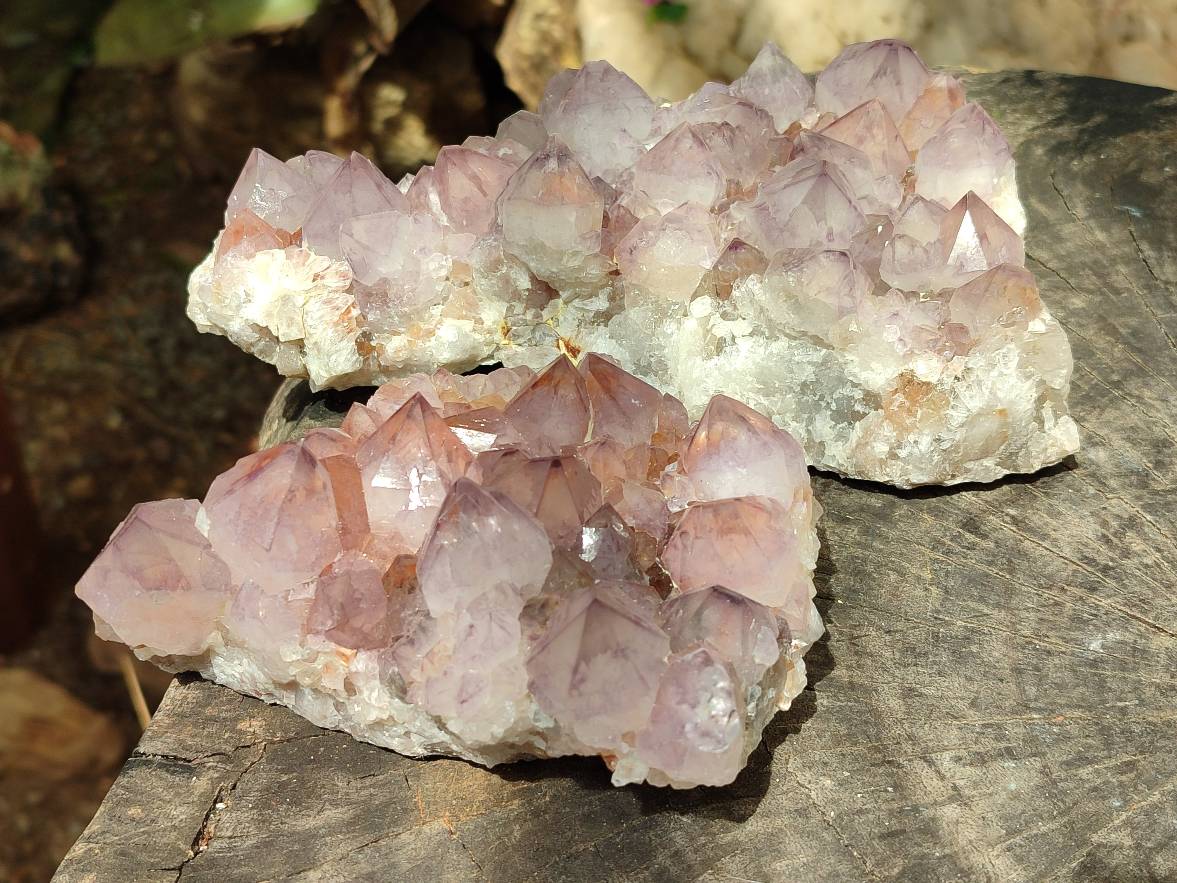 Natural Amethyst Spirit Quartz Clusters x 2 From Boekenhouthoek, South Africa - Toprock Gemstones and Minerals 