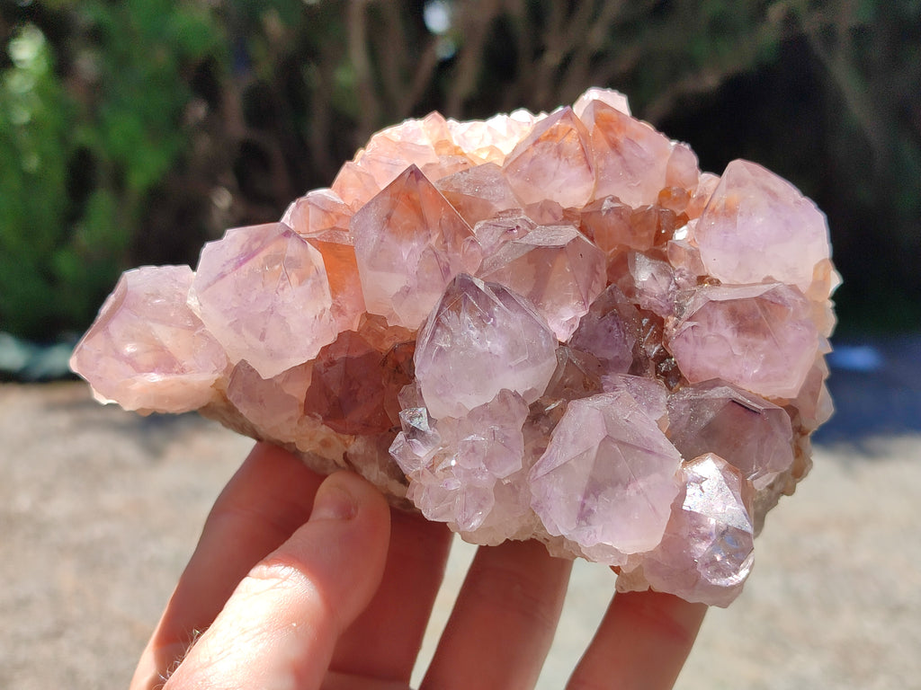 Natural Amethyst Spirit Quartz Clusters x 2 From Boekenhouthoek, South Africa - Toprock Gemstones and Minerals 