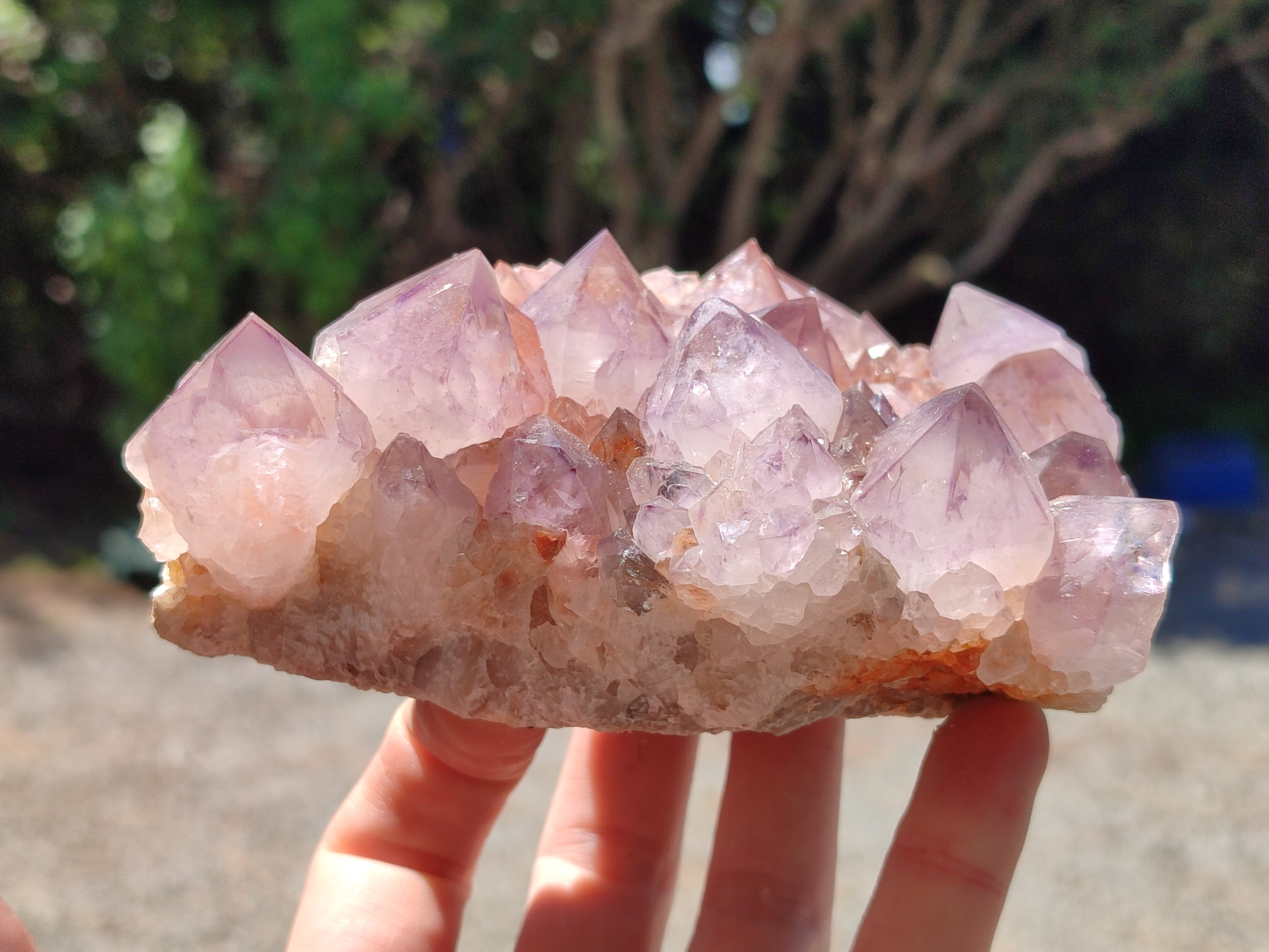 Natural Amethyst Spirit Quartz Clusters x 2 From Boekenhouthoek, South Africa - Toprock Gemstones and Minerals 
