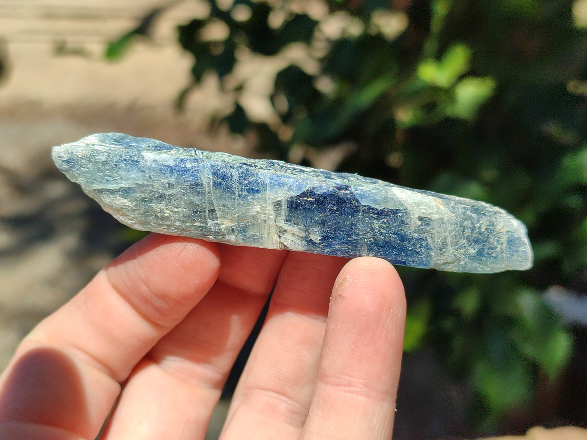 Natural Kyanite Crystals x 1.95 Kg Lot From Karoi, Zimbabwe - Toprock Gemstones and Minerals 