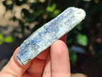 Natural Kyanite Crystals x 1.95 Kg Lot From Karoi, Zimbabwe - Toprock Gemstones and Minerals 
